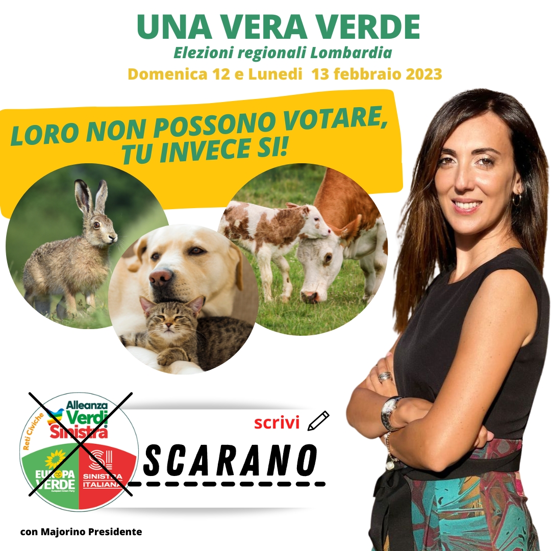 2. elisa scarano 328846757_875039236948019_7340860819074939246_n